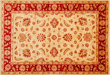 Hand Knotted Wool Rug 8x10