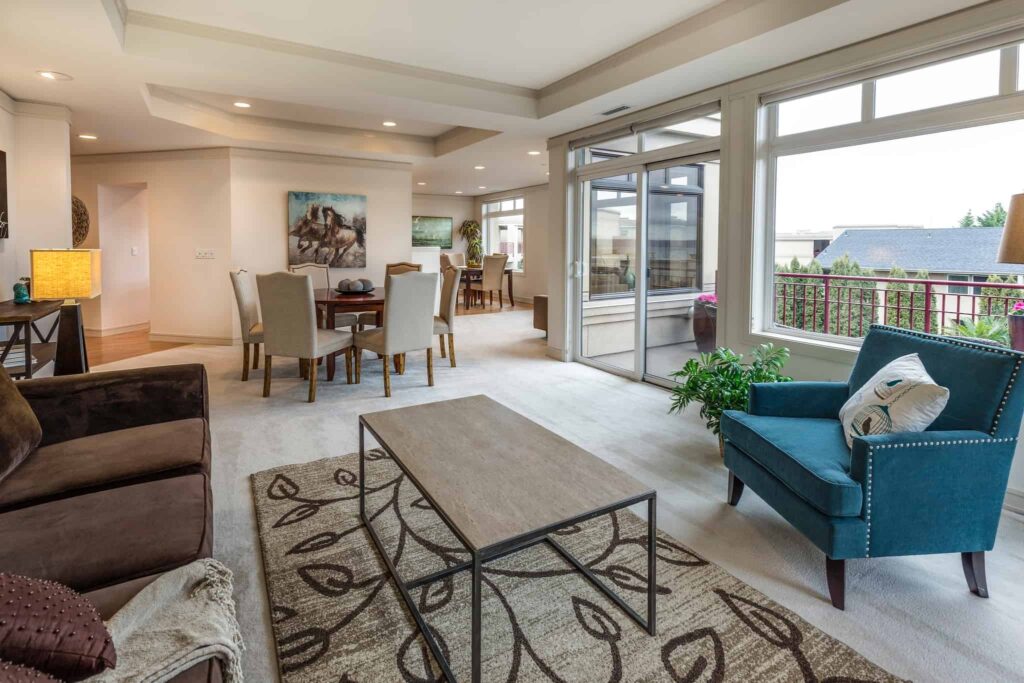 transitional area rug in living room