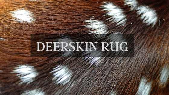 deer skin rug
