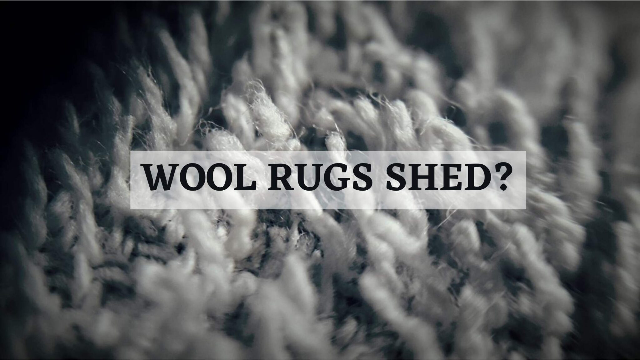 Why Wool Rugs Shed at Betsy Brody blog