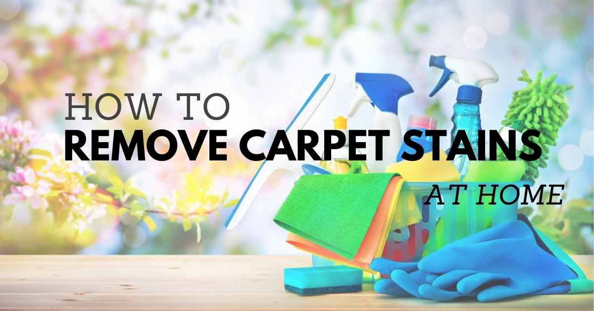 Remove Stains From Carpet