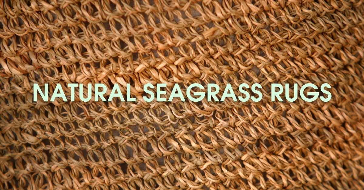 Learn And Buy Top 6 Best Seagrass Rugs Reviewed In 2021