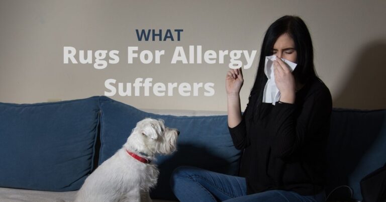 Best Area Rugs For Allergy Sufferers